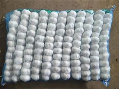 กระเทียม 5p