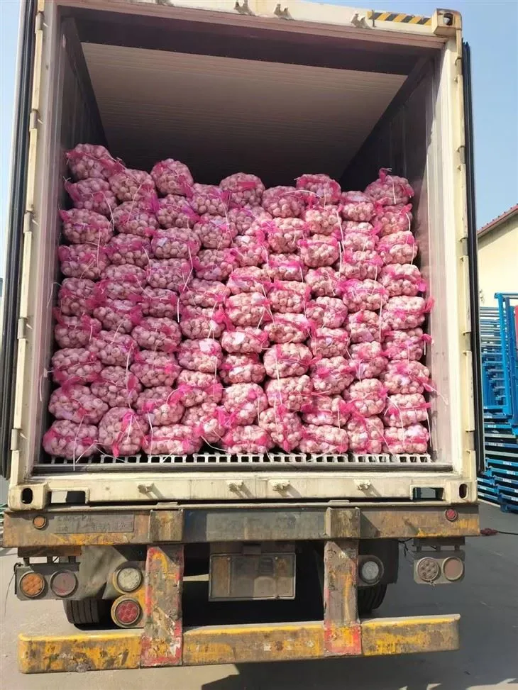 กระเทียมผสมที่ดี