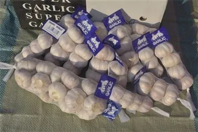 กระเทียมป่าสด