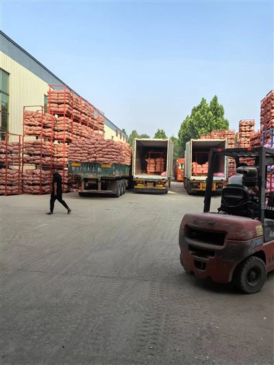 ถุงใหญ่กระเทียมขาว