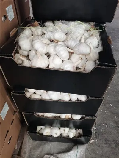 กระเทียมบรรจุคุณภาพสูง