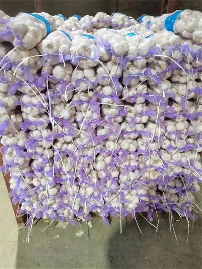 ถุงกระเทียมเล็ก